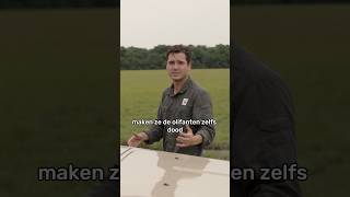 Ja De Bosolifant Is In Gevaar, Maar Daar Kunnen We Wat Aan Doen