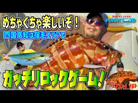 [Super fun] Boat rock fishing in the Sukumo area of ​​Shikoku! You'll even encounter some special...