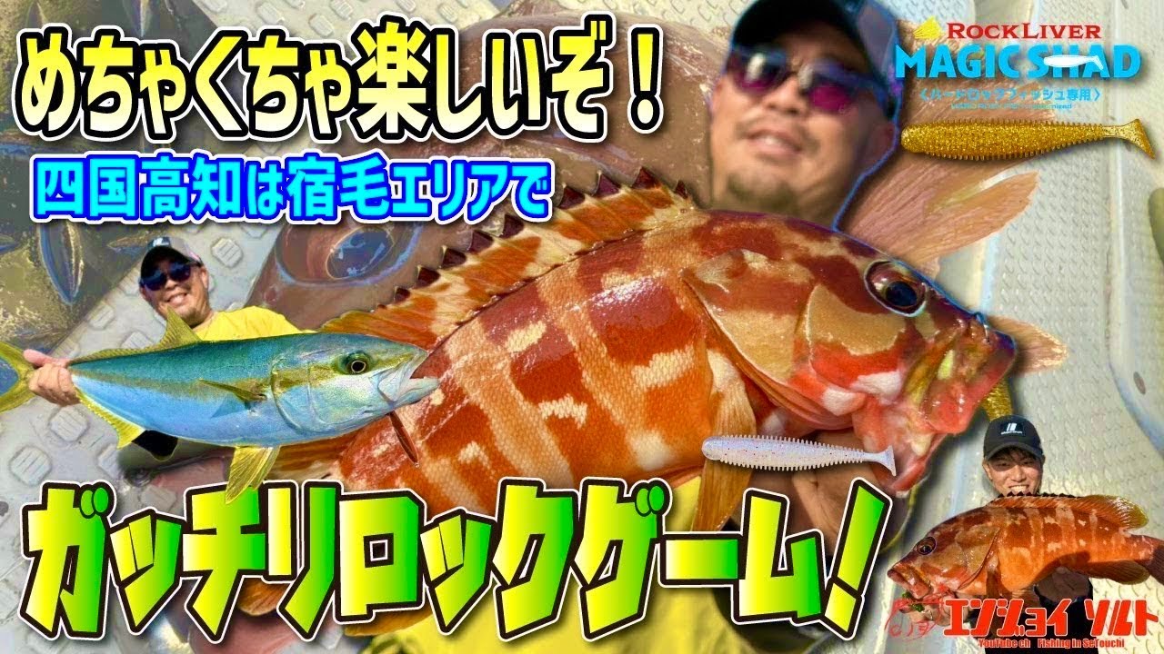 【超楽しい】四国宿毛エリアでボートロック！まさかのスペシャルゲスト魚も！