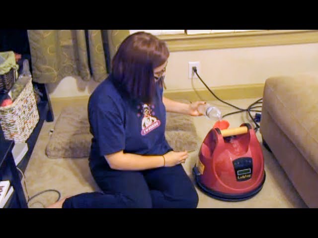 Ladybug Steam Cleaners  Steam cleaning, reinvented by Ladybug