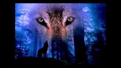 °Surah Mulk ___Qari Abdul Wahab chang #YouTube ❤️❤️راحة_نفسية #سبحان الله #الحمدالله 🌹🌹سورة ملك