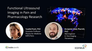 Functional Ultrasound Imaging in Pain and Pharmacology Research