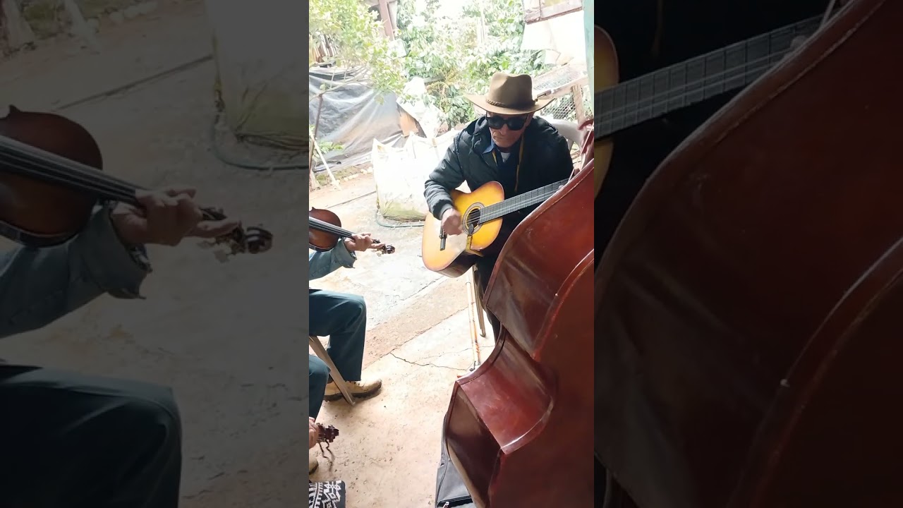 PURO VIOLIN CRUZ NUEVA 🎶🎻🎻