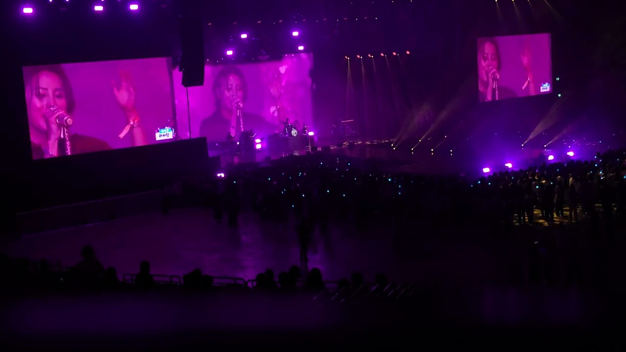 2025 서울파크뮤직페스티벌 하성운 HASUNGWOON  풀샷