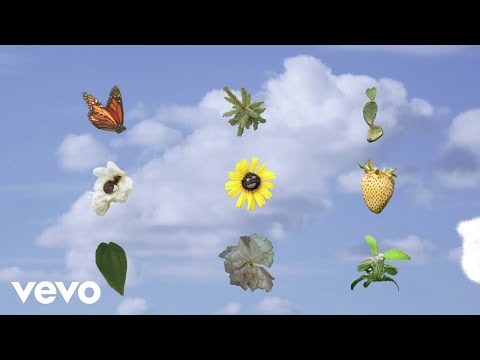 Cut Copy - Black Rainbows