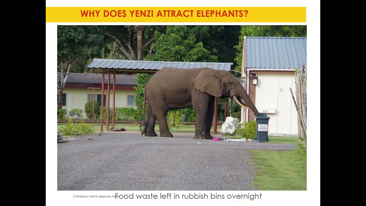 Shell Smithsonian Wildlife Management Plan   Action Overview   Final Weekly safety meeting from Gabo