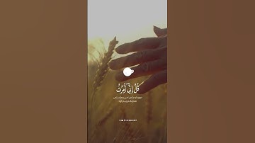القارئ عبدالله الموسى سورة الأنعام #madinah #makkah #explore