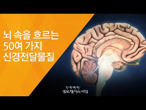 뇌 속을 흐르는 50여 가지 신경전달물질 - (2011.1.8_357회 방송)_신년특집, 뇌 안에 숨겨진 행복의 비밀 - 제1편 세로토닌