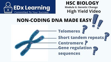 HSC Biology Module 6 - Genetic Change: Non-coding DNA