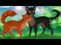 Squirrelflight &amp; Brambleclaw - Two Chord - Sleeping With Sirens