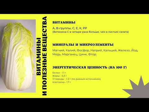 Пекинская капуста. Польза и вред. Полезные свойства пекинской капусты.