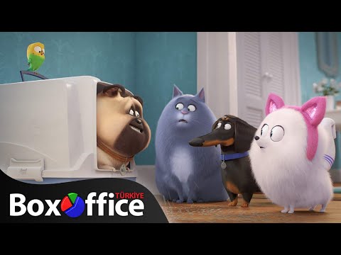 Evcil Hayvanların Gizli Yaşamı 2 fragman