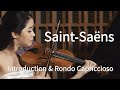 Saint-Saëns Introduction & Rondo Capriccioso op.28 - Soojin Han, Julius Jeongwon Kim