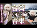 【台東】夜遊びは15000円 観光を楽しむひとり旅 初台湾35歳ひとり旅
