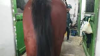 20191230 113002