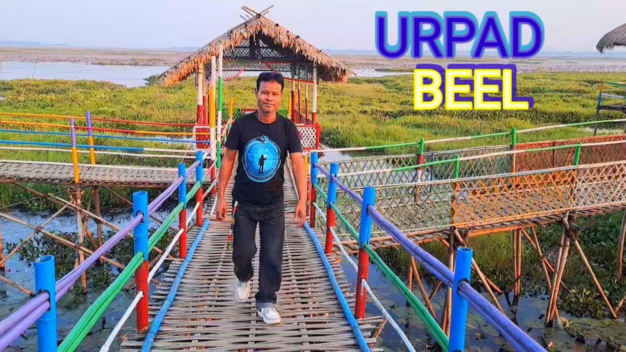 Urpad Beel 💐 Chamaguri Village💐Goalpara Assam 💐কিমান হাজাৰ বিঘা বিল