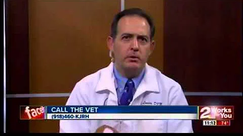Dr. Joe Landers