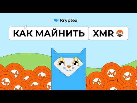 Узнайте, какой метод надежнее для ставок в онлайн-казино через Litecoin в России