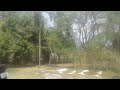 organic fertilizer processing point for ( Azahar dairy farm ).