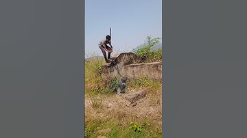killing monkey #youtubeshorts #shortvideo #viralshort #monkey catching