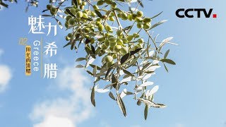 《魅力希腊》第二集 阳光的馈赠 | CCTV纪录