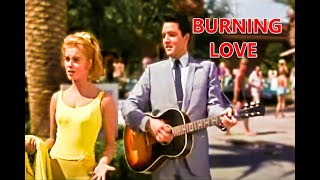 Burning Love - Elvis Presley cover. Gibson Les Paul Classic, Taylor 810ce, Ibanez GSR200.