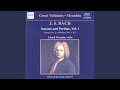 Miniature de la vidéo de la chanson Partita No. 2 In D Minor, Bwv 1004: I. Allemande