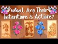  their intentions  next actions towards you  pick a card reading