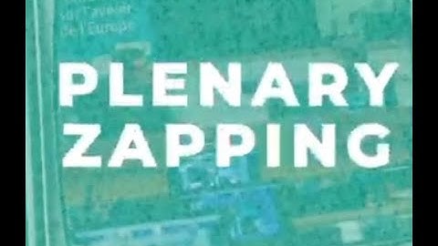 The plenary zapping #07 - 145th plenary session
