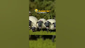 اه يا بيدري انك تبدع و تأسرنا دعمكم كرة القدم Football برشلونة ريال مدريد Realmadrid ضحك 