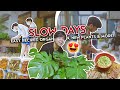 VLOG — Slow Days At Home, Easy Recipes, Pantry Organization &amp; New Plant Babies 🍛🪴 • Red Diaz