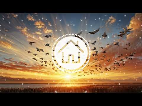 Elderbrook & Snakehips - Sunshine