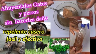 Cómo Ahuyentar Gatos y perros De Tu Jardín, Huerto, Casa, carro. FÁCIL ECONÓMICO y SIN LASTIMARLOS!!