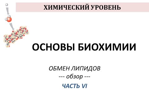 Видео: Подход к улучшению ятрофы с использованием плейотропных QTL, регулирующих рост растений и урожай семян