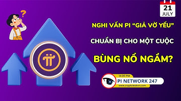 [Pi Network 247] Nghi Vấn Pi “Giả Vờ Yếu” – Chuẩn Bị Cho Một Cuộc Bùng Nổ Ngầm?