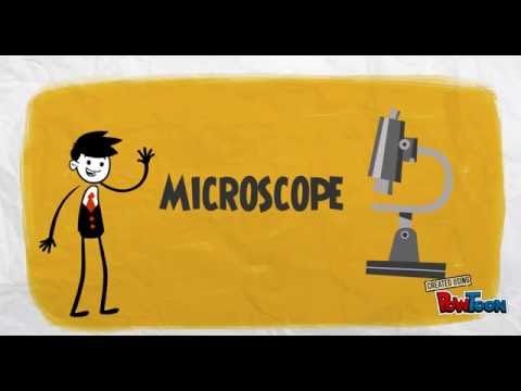 Timeline for Microscope
