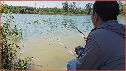Câu đài đập thủy điện trị an đụng bầy cá rô phi giật mỏi tay | câu cá tự nhiên fishing