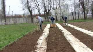 Come fare un orto: camminamenti e letto di semina (2a parte)