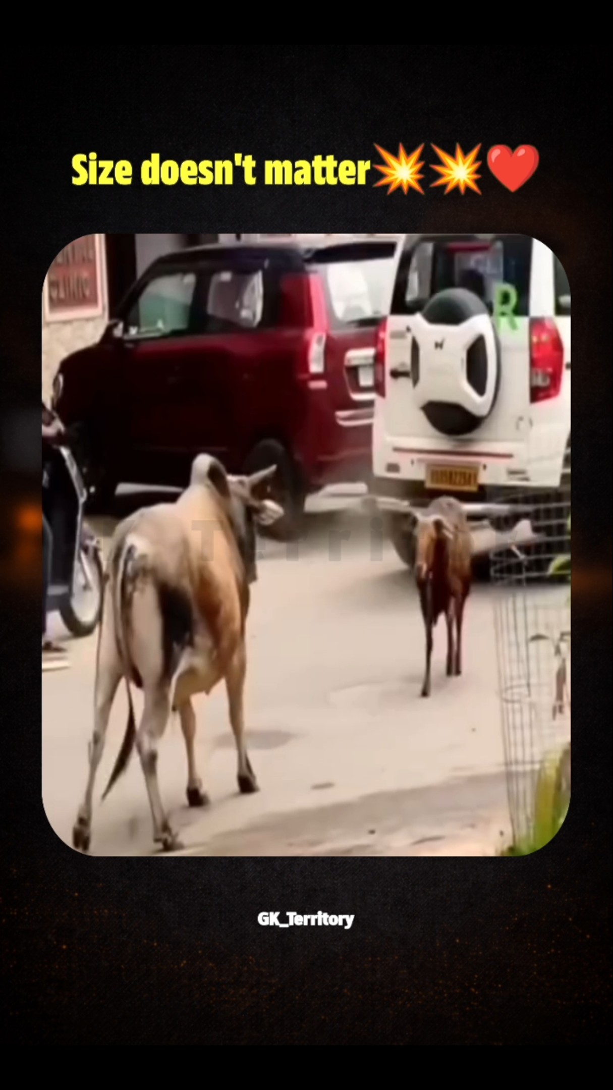 😍 ನನ್ನ ಸ್ಟೇಟಸ್ - ShareChat