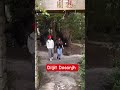 “Jadon Nimmo di smile te Diljit da swag ik frame ch aa jave… fir video viral ta pakka aa 😍🔥” #like