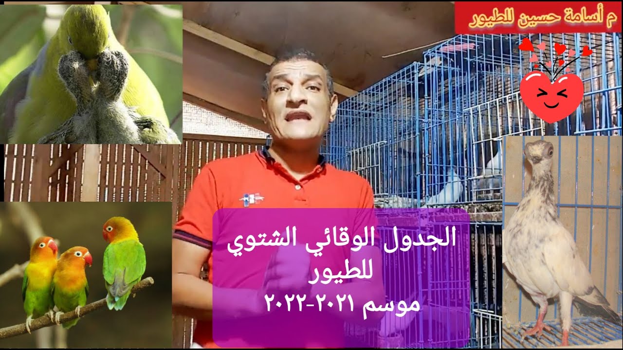 الجدول الوقائي الشتوي للطيور #حمام #عصافير  #ببغاوات موسم ٢٠٢١-٢٠٢٢ ركزوا معايا #م_أسامة_حسين