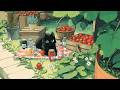 Harvesting Strawberries with My Cat 🐾🍓 relaxing lofi radio for deep focus & calm mind