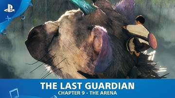 The Last Guardian - Walkthrough - Chapter 9 - The Arena