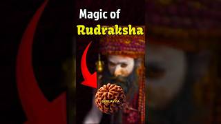 Rudraksha Kaise Pahne Aur Faayde – Rudraksha Power Explained | #viralshorts