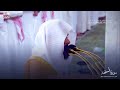 سورة الممتحنة بصوت الشيخ عبدالله القرافي تراويح الحرم المدني الشريف 1445 سورة الممتحنة بصوت الشيخ عبدالله القرافي تراويح الحرم المدني الشريف 1445