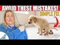 First Day / Night Puppy Owner Panic - Do This FIRST!