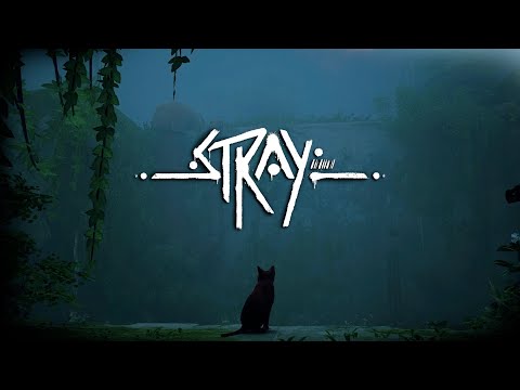 Видео: Эта игра не оставит вас равнодушными | STRAY #1