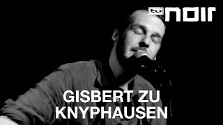 Video thumbnail of "Gisbert zu Knyphausen - Kräne (live bei TV Noir)"
