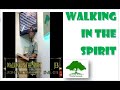 Bible study online  walking in the spirit word of god today jfcms11 jeb 2018