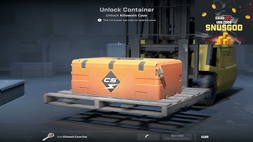 Opening CS2 Case Every Day until a Gold appears | Day 24